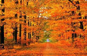 Image result for Fall Season for Desktop