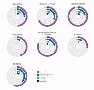 Image result for Demographic Diversity