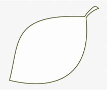 Image result for Leaf Outline Clip Art