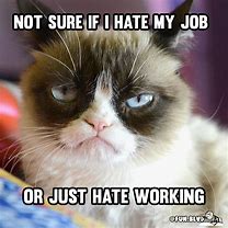 Image result for Justifying My Job Meme