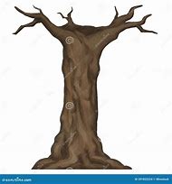 Image result for Tree Trunk White Background