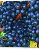 Image result for Grape Leaf Pattern