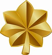 Image result for What Is the Leaf of Major and Lt. Colonel