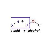 Image result for Condensation Reaction