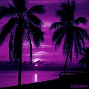 Image result for Palm Tree Images. Free