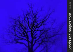 Image result for Mountain Tree Silhouette