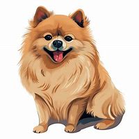 Image result for Pomeranian Dog Coloring Pages