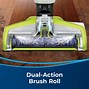 Image result for Bisseel Rug Cleaner