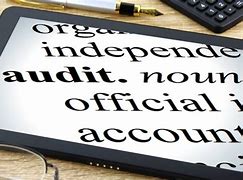 Image result for Audit Funny Pecture