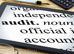 Image result for Audit Cartoon Funny