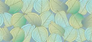 Image result for Eucalyptus Leaves Background