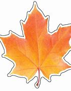 Image result for Fall Leaf Print