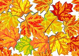 Image result for Fall Leaves Background