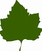 Image result for Big Leaf Outline