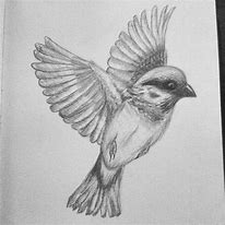 Image result for Detailed Bird Painting