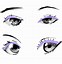 Image result for Anime Eye Anatomy