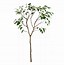 Image result for Tree Branch Icon.png