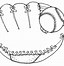 Image result for Baseball Glove SVG