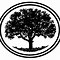 Image result for Tree Branch Logo