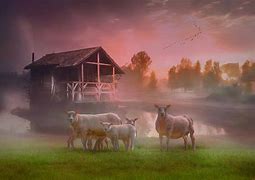 Image result for Sunrise Over Farm Winter