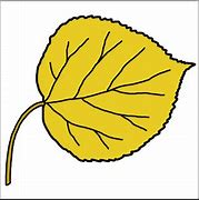 Image result for Aspen Leaf Clip Art