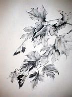 Image result for Fall Leaves Sketch