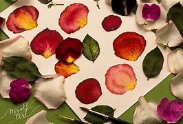 Image result for Watercolor Rose Leafs