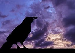 Image result for Raven Silhouette Moon