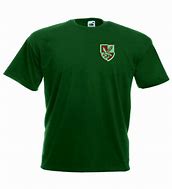 Image result for 16 Air Assault Brigade T-shirt