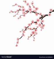 Image result for Cherry Blossom Branch Vector