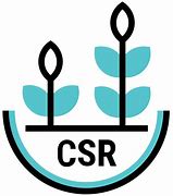 Image result for CSR Icon.png