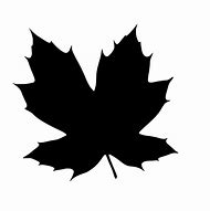 Image result for Tie Dye Maple Leaf SVG