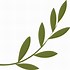 Image result for Olive Branch Curved