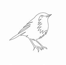 Image result for White Bird Drawing