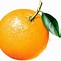 Image result for Orange Tree Clip Art