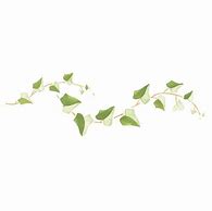 Image result for Ivy Border Stencil