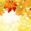 Image result for Leaves JPEG