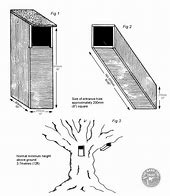 Image result for Owl Nesting Box Plans