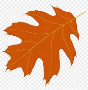 Image result for Oak Tree Leaf Clip Art