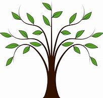 Image result for Tree Branch Logo