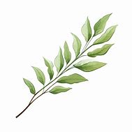 Image result for Curved Leaf Branch Silhouette