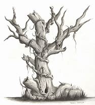 Image result for Scary Tree Pencil Drawing