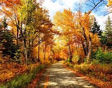 Image result for Summer/Fall Photography