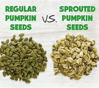 Image result for Pumpkin Seed vs Pumpkin