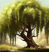 Image result for Weeping Willow Tree Outline