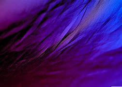 Image result for Cloth Wallpaper