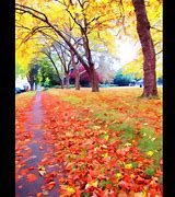 Image result for Falling Leaves Graphic