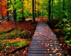 Image result for Free Autumn Wallpaper Desktop