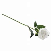 Image result for Single Long Stem White Rose