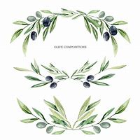 Image result for Olive Branch Watercolor Art